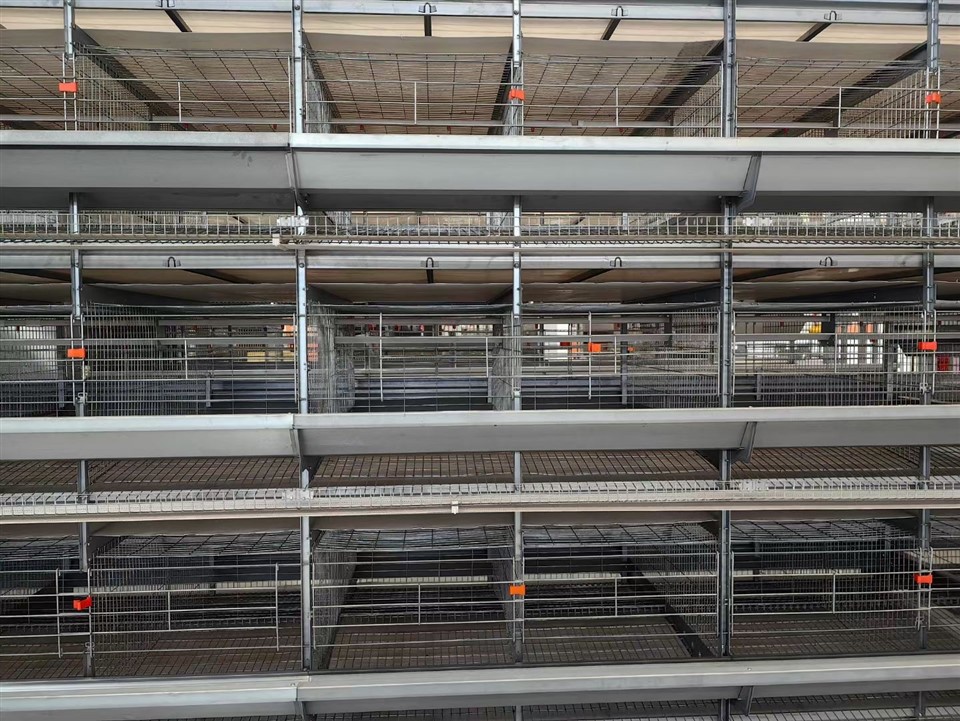Battery Layer Cages suppliers