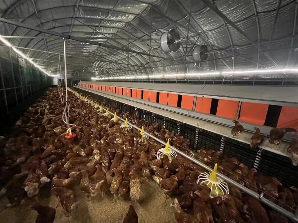 Breeder Pan Feeders factory