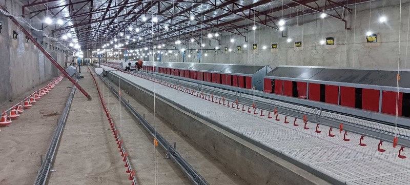 Breeder Pan Feeders suppliers